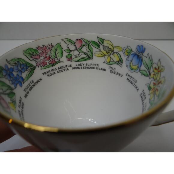 Floral Emblems of Canada  tea cup/ saucer Royal Stafford Bone China Collectable - Picture 9 of 12